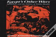Egypt'S Other Wars