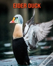 Capa do artigo Eider Duck