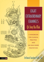 Capa do artigo Eight Extraordinary Channels - Qi Jing Ba Mai