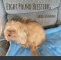 Eight Pound Blessing - Preview