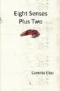 Eight Senses Plus Two - Preview