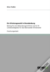 Ein Erholungswald In Brandenburg