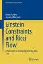 Einstein Constraints And Ricci Flow - Preview