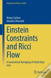 Capa do artigo Einstein Constraints And Ricci Flow