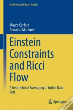 Capa do artigo Einstein Constraints And Ricci Flow