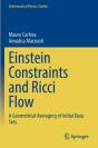 Einstein Constraints And Ricci Flow - Preview