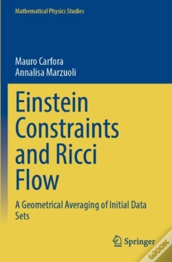 Capa do artigo Einstein Constraints And Ricci Flow