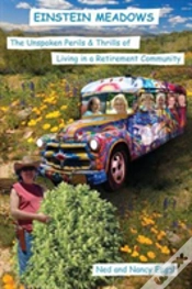 Capa do artigo Einstein Meadows