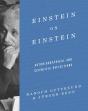 Einstein On Einstein - Preview
