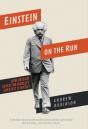 Einstein On The Run - Preview