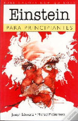 Capa do artigo Einstein para Principiantes