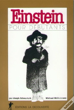 Capa do artigo Einstein Pour Debutants