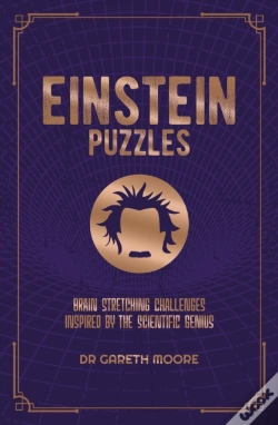 Capa do artigo Einstein Puzzles