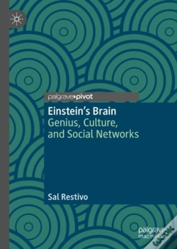 Capa do artigo Einstein'S Brain