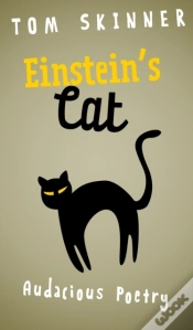 Capa do artigo Einstein