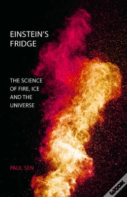 Capa do artigo Einstein'S Fridge
