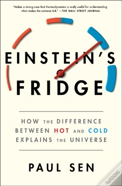 Capa do artigo Einstein'S Fridge