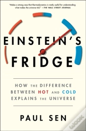 Capa do artigo Einstein