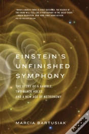Capa do artigo Einstein