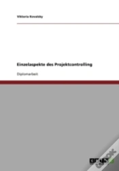 Capa do artigo Einzelaspekte Des Projektcontrolling