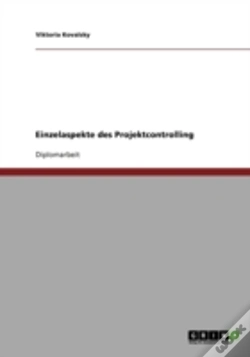 Capa do artigo Einzelaspekte Des Projektcontrolling