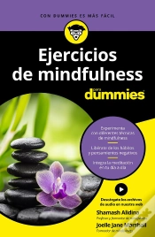 Capa do artigo Ejercicios De Mindfulness Para Dummies