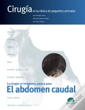 Capa do artigo El Abdomen Caudal. Cirugía En La Clínica De Pequeños Animales