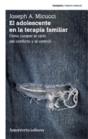 El Adolescente En La Terapia Familiar  - Preview