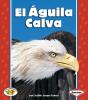 El Aguila Calva (The Bald Eagle) - Preview