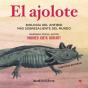 El Ajolote - Preview