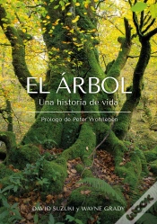 Capa do artigo El Arbol