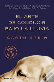 Capa do artigo El Arte De Conducir Bajo La Lluvia