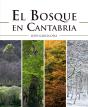 El Bosque En Cantabria - Preview