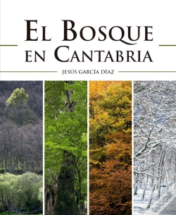 Capa do artigo El Bosque En Cantabria