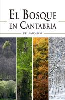 El Bosque En Cantabria