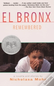 Capa do artigo El Bronx Remembered