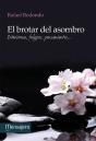 El Brotar Del Asombro - Preview