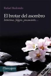 Capa do artigo El Brotar Del Asombro