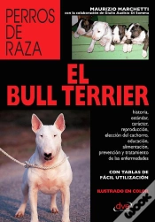Capa do artigo El Bull Terrier