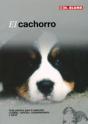 El Cachorro - Preview