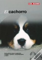 Capa do artigo El Cachorro