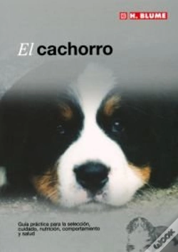 Capa do artigo El Cachorro