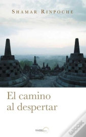 El Camino Al Despertar