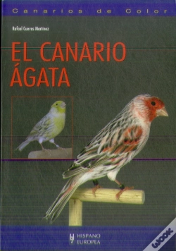 Capa do artigo El Canario Ágata