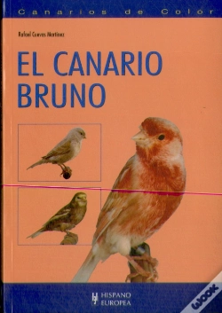 Capa do artigo El Canario Bruno