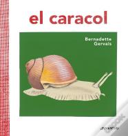 El Caracol