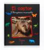 El Castor - Preview