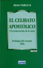 El Celibato Apostólico - Preview