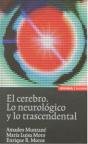 El Cerebro - Preview
