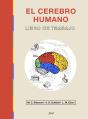 El Cerebro Humano - Preview